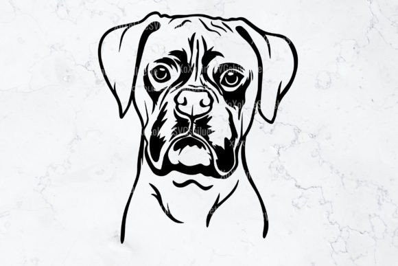 Download Boxer SVG Silhouette Outline Clipart - Boxer Collection